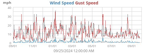 Wind Speed